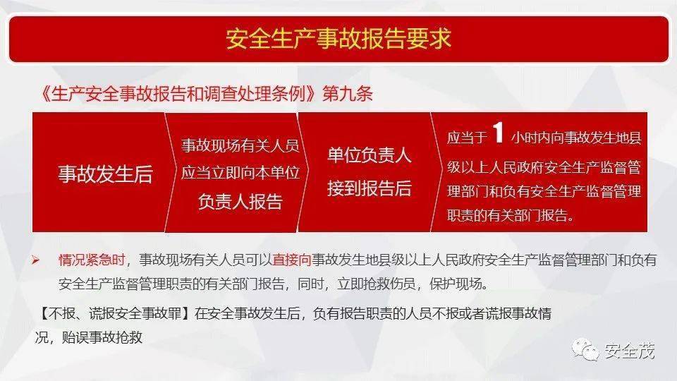 2025澳门精准正版免费|全面释义解释落实,澳门精准正版免费全面释义解释落实的文章内容